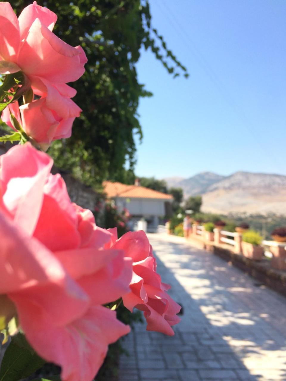Saranda Landscape Apartment Nivice Bagian luar foto